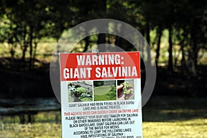 Giant Salvinia Warning