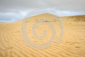 Giant Sand Dunes at Cape Reinga, Northland in New Zealand