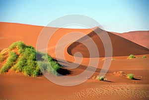 Giant sand dunes in desert