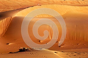 Giant sand dunes in desert. Ripple sand texture pattern.