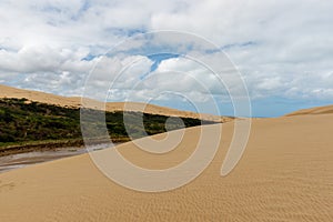 Giant sand dunes at Te-Paki on the 90 Mile beach