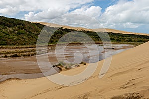 Giant sand dunes at Te-Paki on the 90 Mile beach