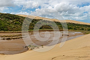 Giant sand dunes at Te-Paki on the 90 Mile beach