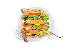 Giant sandwich isolated