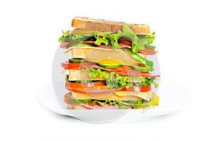 Giant sandwich isolated