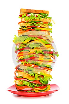 Giant sandwich isolated