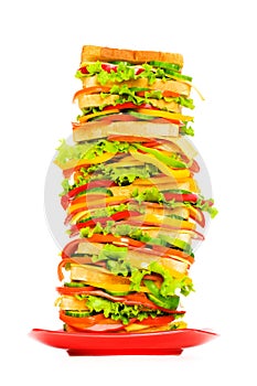 Giant sandwich isolated