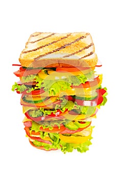 Giant sandwich isolated