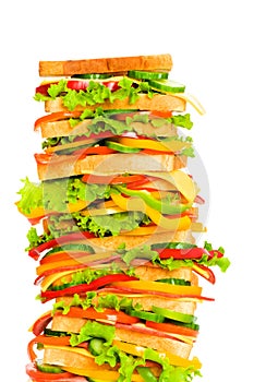 Giant sandwich isolated on the white