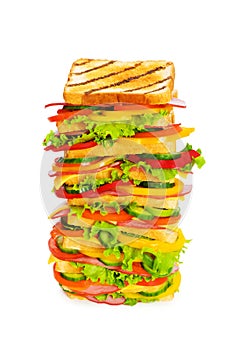 Giant sandwich isolated on the white