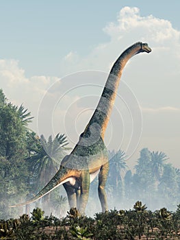 Giant Sauropod Walking Away photo