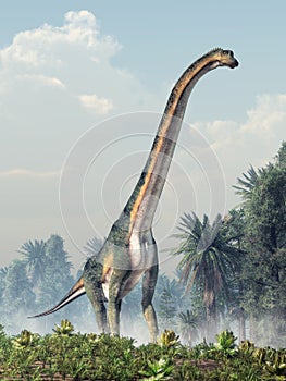 Giant Sauropod Walking Towards You photo
