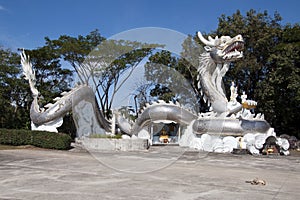 Giant silver dragon at Wat Tha Ton