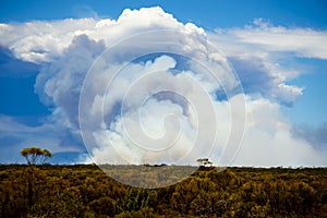 Giant Smoke Plume from Bush Fires