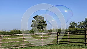 Giant Soap Bubble with Bubble wand photo