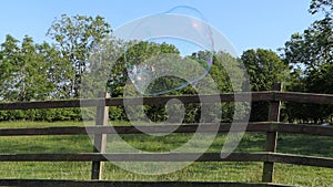 Giant Soap Bubble with Bubble wand photo