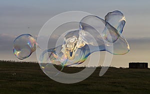 Giant soap bubble creature with iridescent rainbow colours during sunset