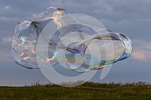 Giant soap bubble with rainbow colours. Grass and sky background during sunset