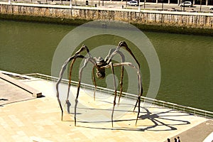The giant spider