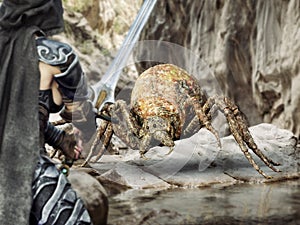 A giant spider battles a valiant warrior . photo