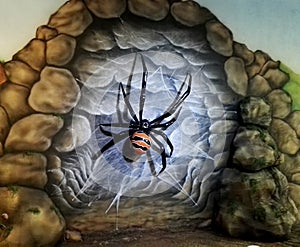 Giant spider sculpture in the Park Jaime Duque