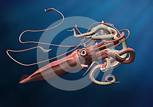 Giant Squid