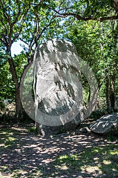 Giant standing stone in shaded woods in Carnac area, France