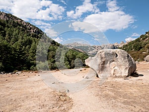 Giant stone in the shape of a giant pig called `El Cerdito` in La Pedriza photo
