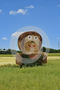 Giant straw doll with painted clothes  in a harvested field