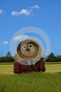 Giant straw doll with painted clothes  in a harvested field