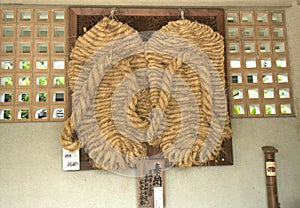 Giant straw sandals of Great Buddha in Kotoku-in Temple in Kamakura, Japan