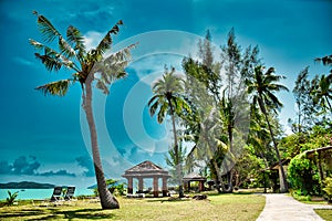 Giant stunning coconut palm tree with a massage hut and deck chairs under the beautiful blue sky on the shores of the sandy