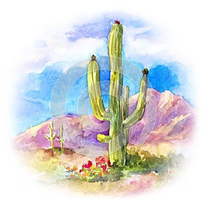 Giant succulent Carnegiea in the desert landscape photo