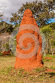 Giant Termite Mound