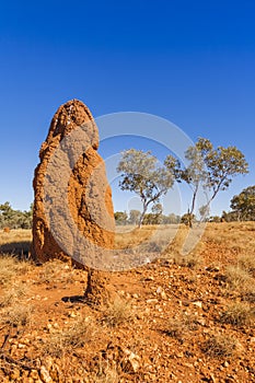 Giant Termite Mound on Outback Western Australia