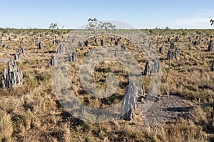 Giant termite mounds in outback Queensland.