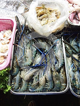 Giant Tiger Prawn ice in market