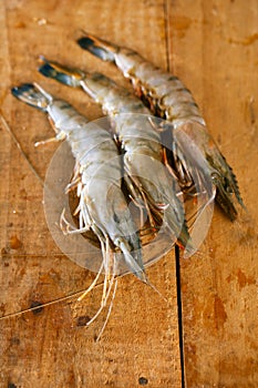 Giant tiger raw shrimps prawns