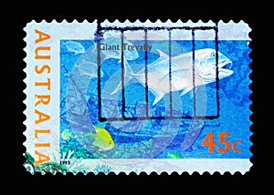 Giant Trevally (Caranx ignobilis), Marine Life serie, circa 1995