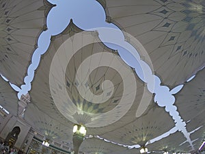 The Giant Umbrella