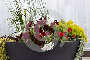 A giant vase with different flowers on the background of the city fountain.