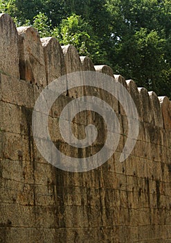 The giant wall of vellore big fort with trees