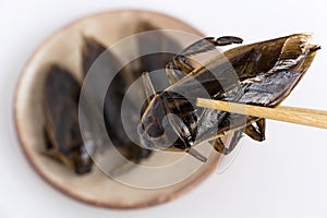 Giant Water Bug is edible insect for eating as food Insects deep-fried crispy snack on plate and chopsticks on white background,