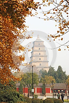 Giant Wild Goose Pagoda in autumn