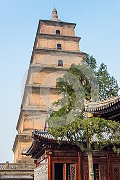 Giant Wild Goose Pagoda in Xi'an - China