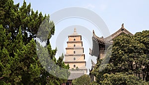 Giant Wild Goose Pagoda, Xian