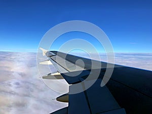 The giant wing fly over the sky