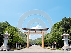 Giant wooden Tori gate