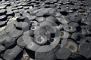 The Giants Causeway