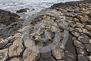 Giants Causeway - County Antrim - Northern Ireland